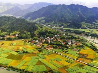 近日，甘肅省人民政府辦公廳關(guān)于對省鄉(xiāng)村振興局（原省扶貧辦）、省農(nóng)業(yè)農(nóng)村廳、省教育廳、玉門市、卓尼縣予以表揚的通報。根據(jù)《國務(wù)院辦公廳關(guān)于對2020年落實有關(guān)重大政策措施真抓實干成效明顯地方予以督查激勵